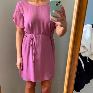 Ann Taylor Loft Dress